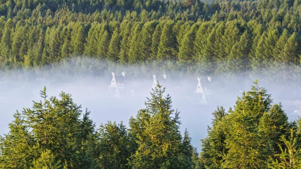 新華鮮報(bào) | 春已至！“植”綠山河