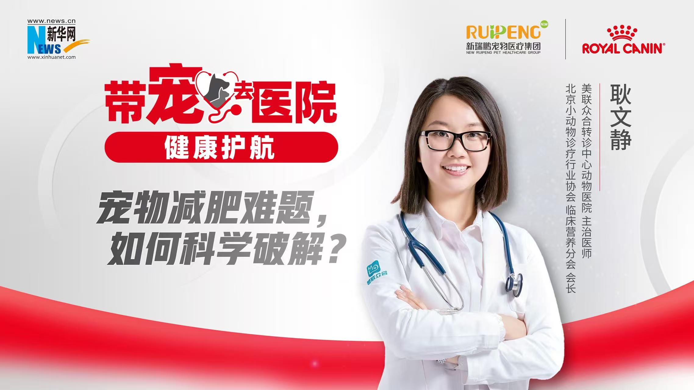 帶寵去醫(yī)院 健康護(hù)航｜寵物減肥難題，如何科學(xué)破解？