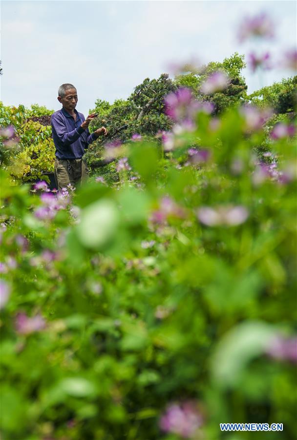 CHINA-ZHEJIANG-VILLAGES-OVERHAUL (CN)