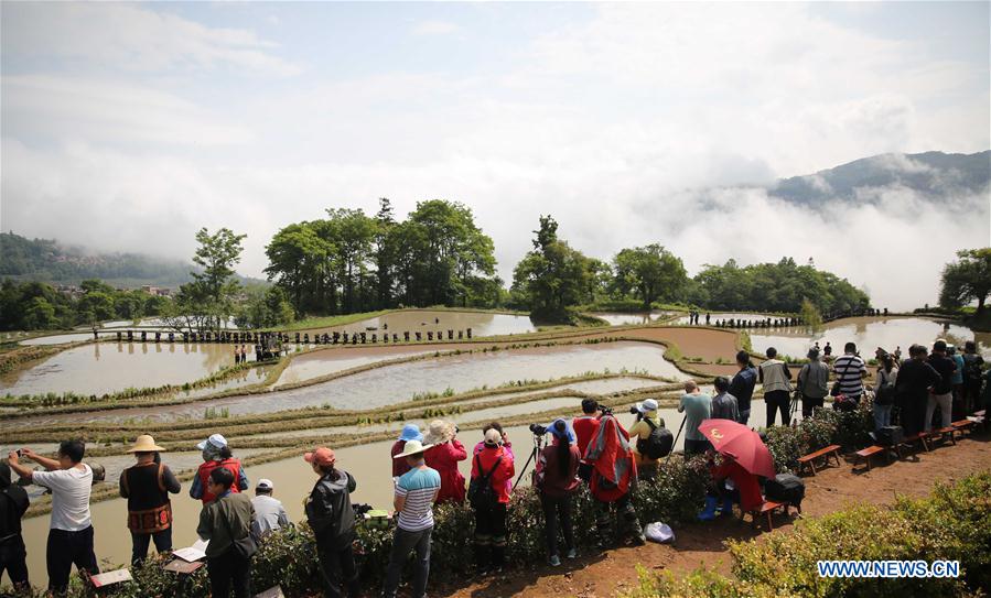 #CHINA-YUNNAN-YUANYANG-FARMING CULTURE (CN)