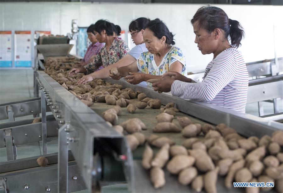 CHINA-HUBEI-HUANGGANG-POVERTY RELIEF (CN)