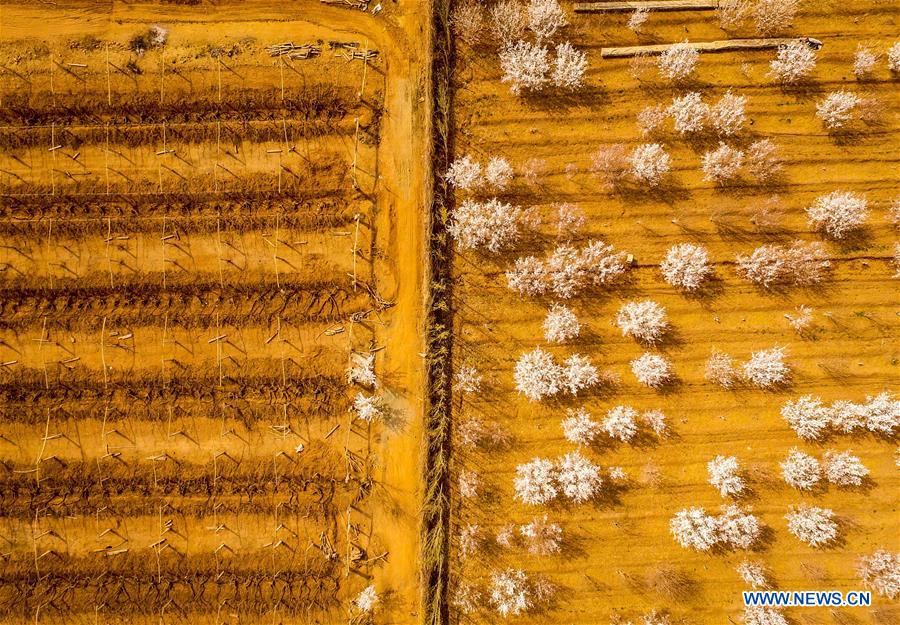 CHINA-XINJIANG-SCENERY-TOURISM (CN)