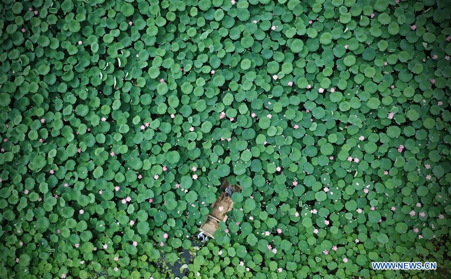 (年終報道)(30)2018年看大美中國