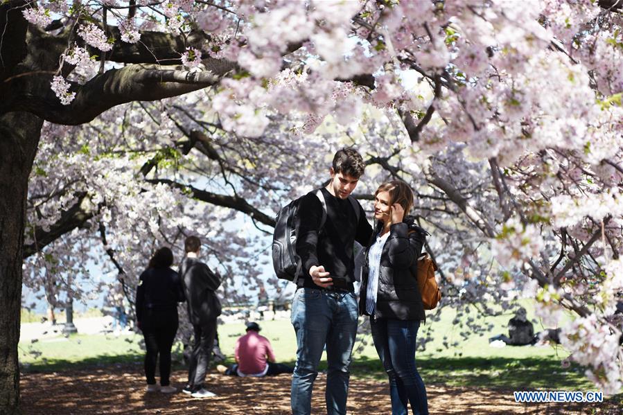 U.S.-NEW YORK-SPRING-SCENERY