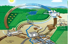 生物質能:智利人的循環(huán)經(jīng)濟理念