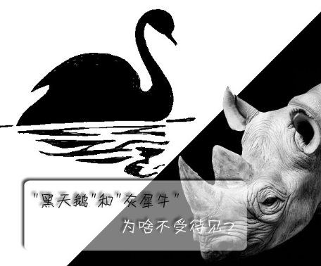 "黑天鵝"和"灰犀牛"為啥不受待見？