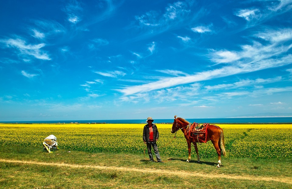 青海推行草原生態(tài)保護(hù)補獎?wù)? /></a></p>
<p class=