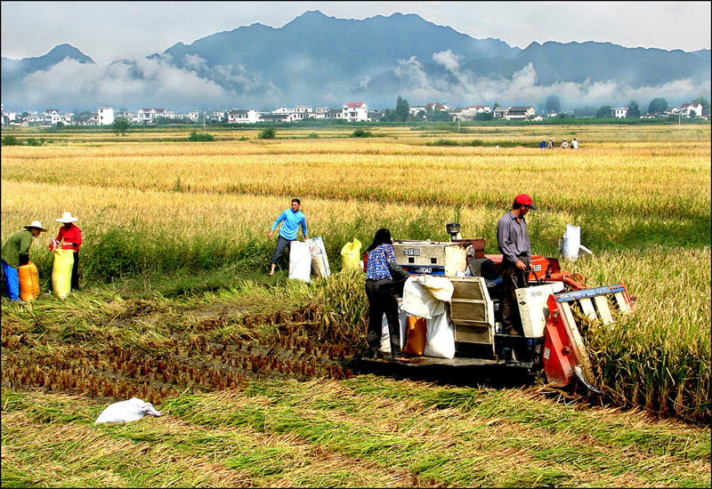 堅(jiān)定自信書寫中國(guó)傳奇