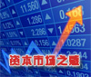 資本市場(chǎng)之惑
