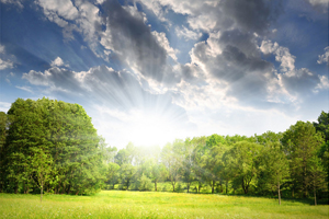 綠增長:環(huán)境問題帶來的新商機