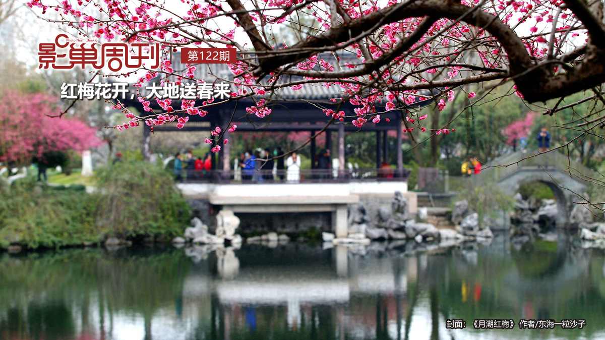 【影巢周刊】紅梅花開，大地送春來