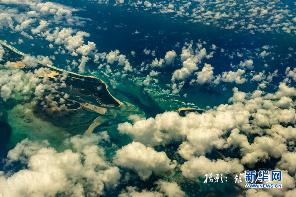 飛躍太平洋，跨越秋與春