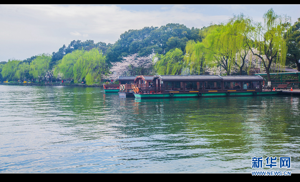 聽風(fēng)西湖柳，聞香龍井茶