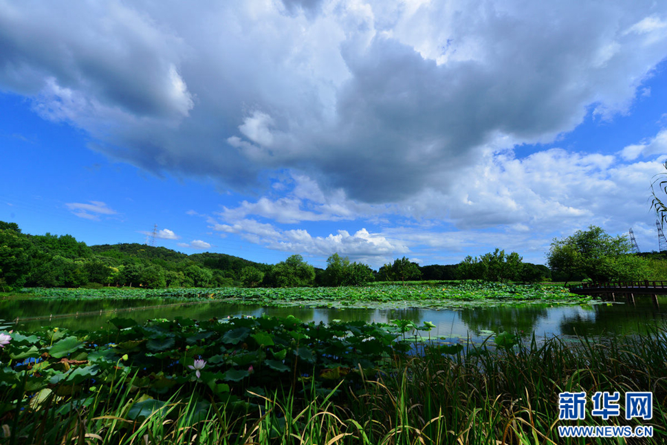 秋高氣爽，行攝八掛田