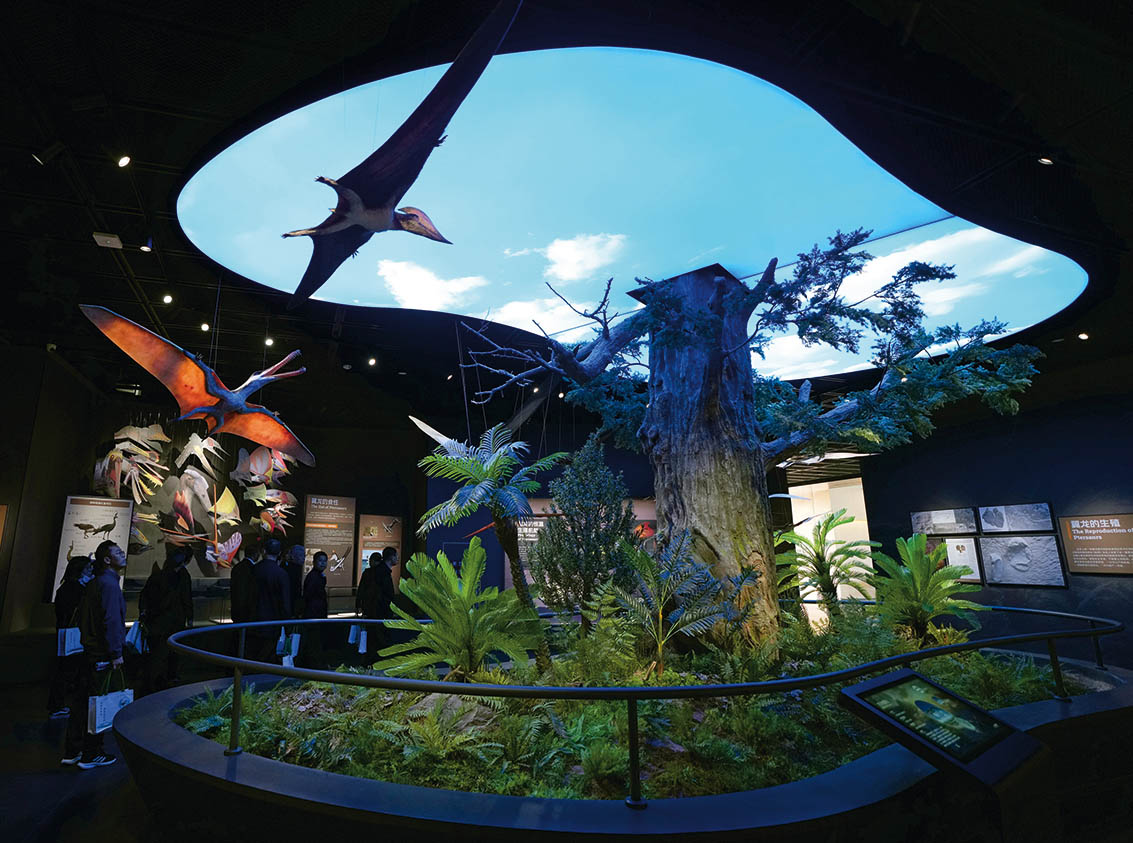 從山西木化石追溯地球森林興衰史