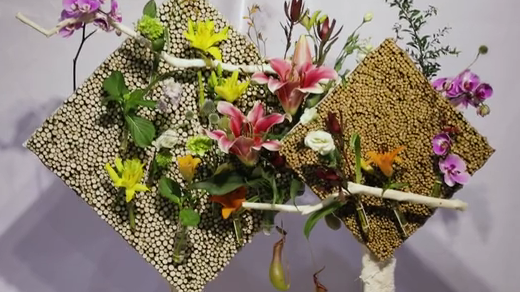 如此動(dòng)人，和百合來場(chǎng)約會(huì)吧！