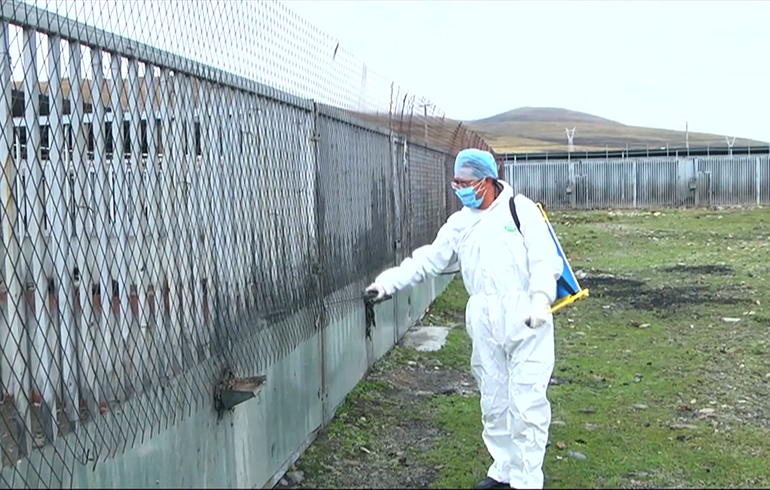 致敬偉大改革｜對話40年，講述身邊的健康故事（第二十一集）&mdash;&mdash;送瘟神