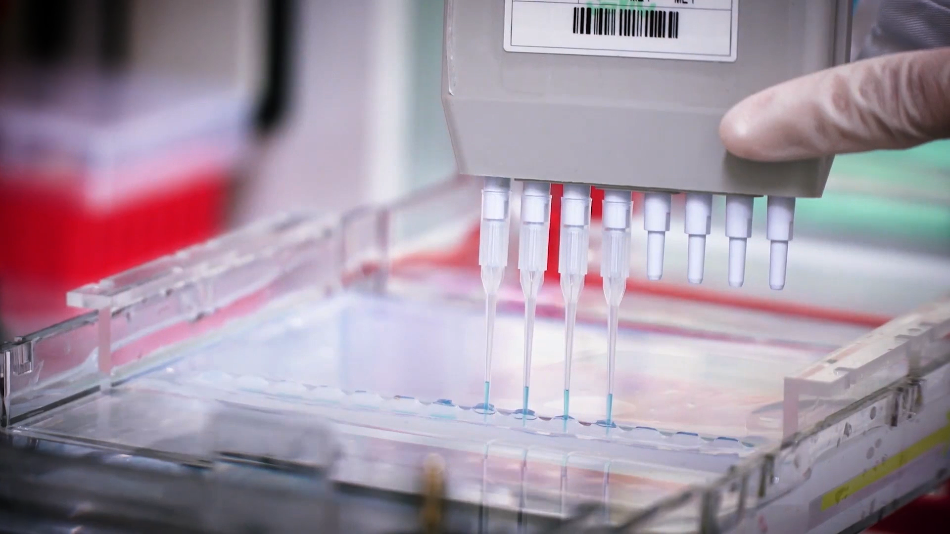 致敬偉大改革｜對話40年，講述身邊的健康故事32&mdash;打破醫(yī)學(xué)禁區(qū)，探尋生命奇跡