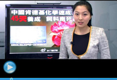 權(quán)威聲音：&ldquo;快時(shí)代&rdquo;究竟還有什么可以速成？