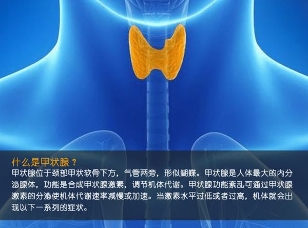 關(guān)注甲狀腺健康，你應(yīng)該知道的那些事