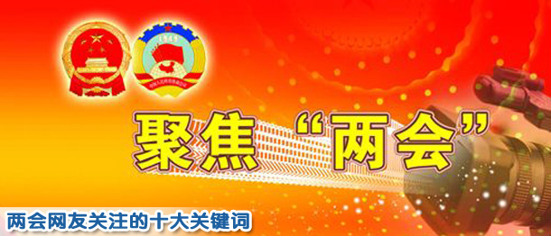 兩會(huì)網(wǎng)友關(guān)注議題調(diào)查:社會(huì)保障居首 反腐次之