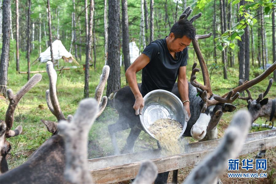 【聚焦脫貧攻堅(jiān)】這組數(shù)字，來(lái)之不易