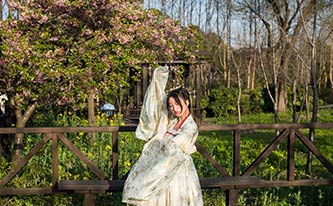 徜徉櫻花花海，來場動漫之旅