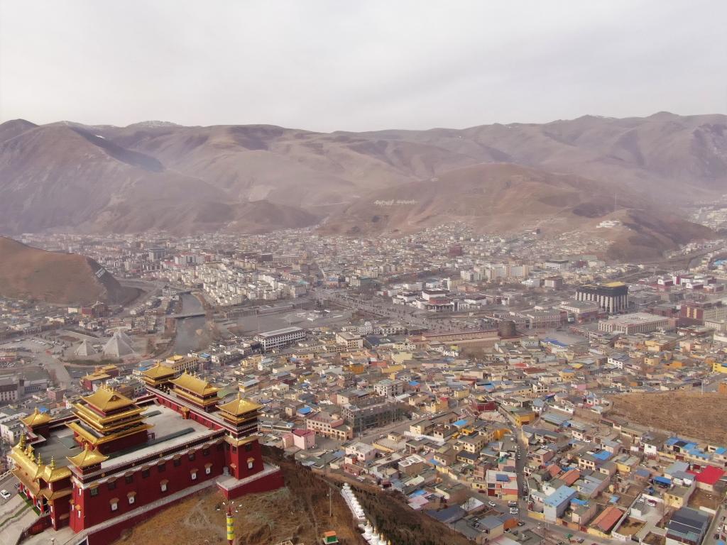 震后11年，玉樹(shù)正芳華