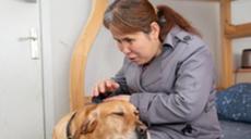 &ldquo;有你在身旁，真好&rdquo;