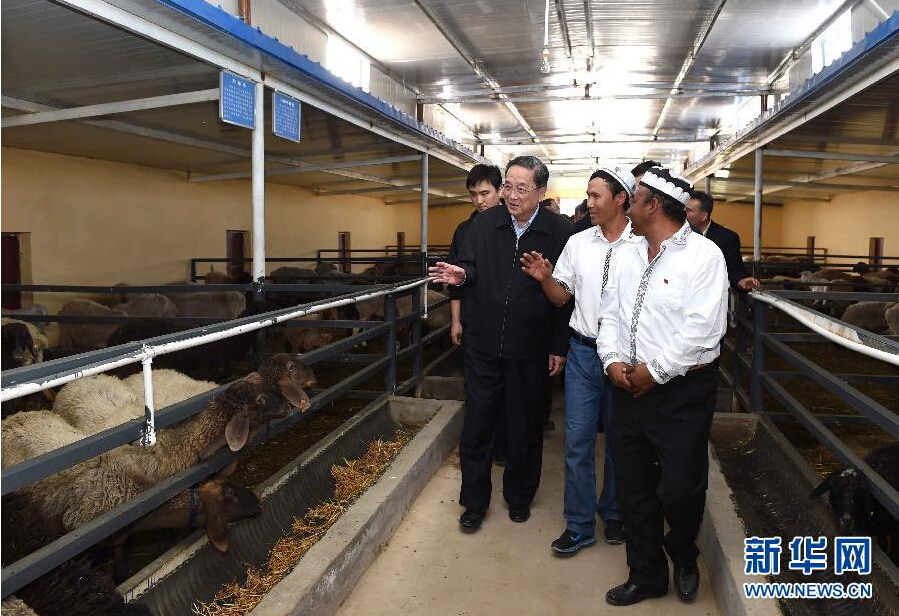 9月27日，中共中央政治局常委、全國(guó)政協(xié)主席、中央代表團(tuán)團(tuán)長(zhǎng)俞正聲率中央代表團(tuán)部分成員赴喀什地區(qū)莎車(chē)縣看望各族干部群眾。這是俞正聲在新疆生產(chǎn)建設(shè)兵團(tuán)第三師莎車(chē)農(nóng)場(chǎng)實(shí)地察看萬(wàn)只羊養(yǎng)殖基地。新華社記者 饒愛(ài)民 攝