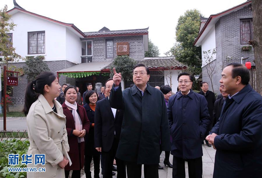 這是11月22日，張德江來到成都郫縣青杠樹村，了解村民委員會(huì)工作情況。 新華社記者 劉衛(wèi)兵 攝 