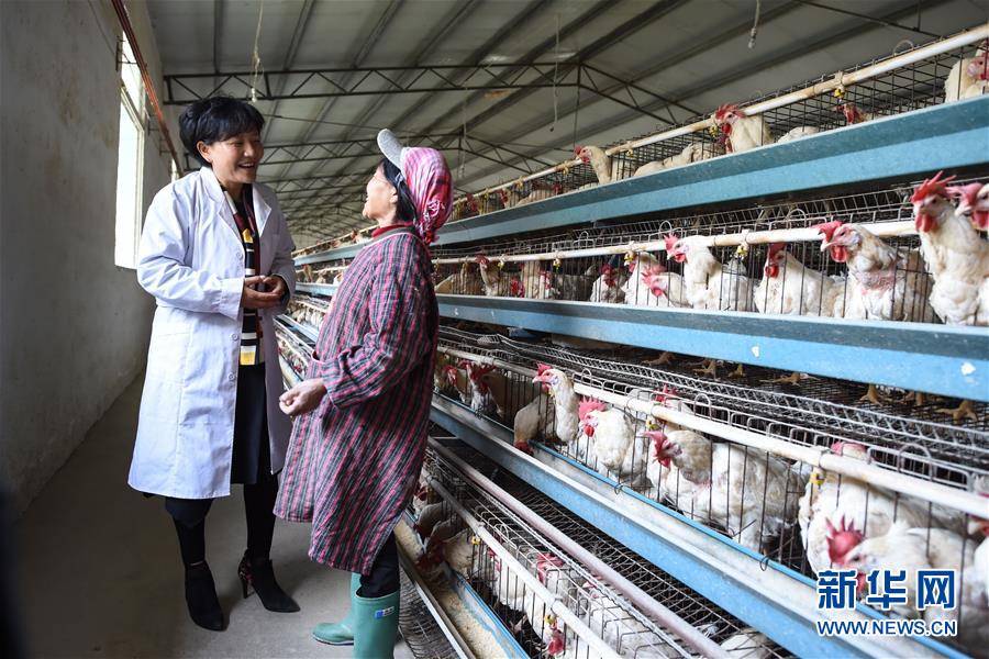 （十九大代表回基層&middot;圖文互動）（1）擺脫貧困后，還應(yīng)有更高的精神追求&mdash;&mdash;十九大代表余留芬的&ldquo;宣講時光&rdquo;