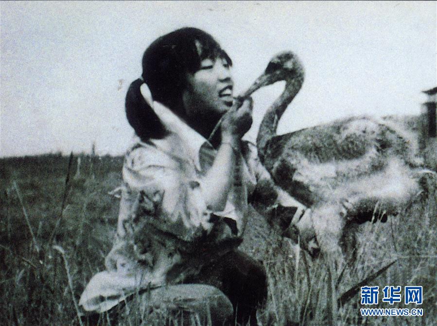 （圖文互動(dòng)&middot;新華全媒頭條）（2）一家人與一群鶴的生死相守