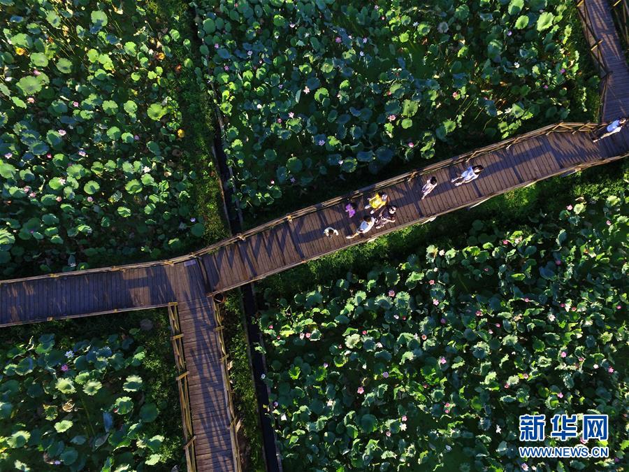 (新時(shí)代新氣象新作為·圖文互動)(2)向著小康沖刺——江西脫貧攻堅(jiān)“百日行動”掃描