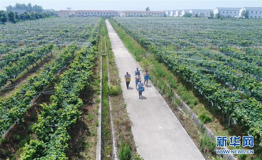 （新華全媒頭條&middot;紀(jì)念改革開放40年特稿&middot;圖文互動）（5）向著新航程揚(yáng)帆奮進(jìn)！&mdash;&mdash;從小崗精神看中國改革開放40年