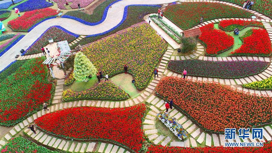 #（社會）（2）踏春賞景正當(dāng)時(shí)