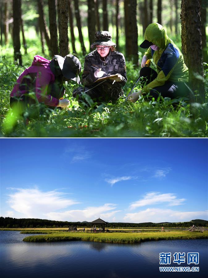 (新華全媒頭條·圖文互動)(4)領航新時代中國經(jīng)濟航船——從中央財經(jīng)領導小組會議看以習近平同志為核心的黨中央駕馭中國經(jīng)濟