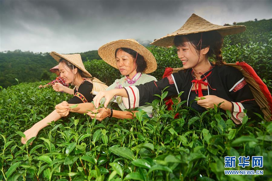 （新華全媒頭條&middot;潮起海之南&middot;圖文互動）（7）春潮拍岸千帆進(jìn)&mdash;&mdash;海南特區(qū)改革開放30年紀(jì)實(shí)