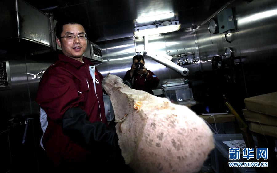 （圖文互動）（6）&ldquo;科學(xué)&rdquo;號在麥哲倫海山展開綜合調(diào)查