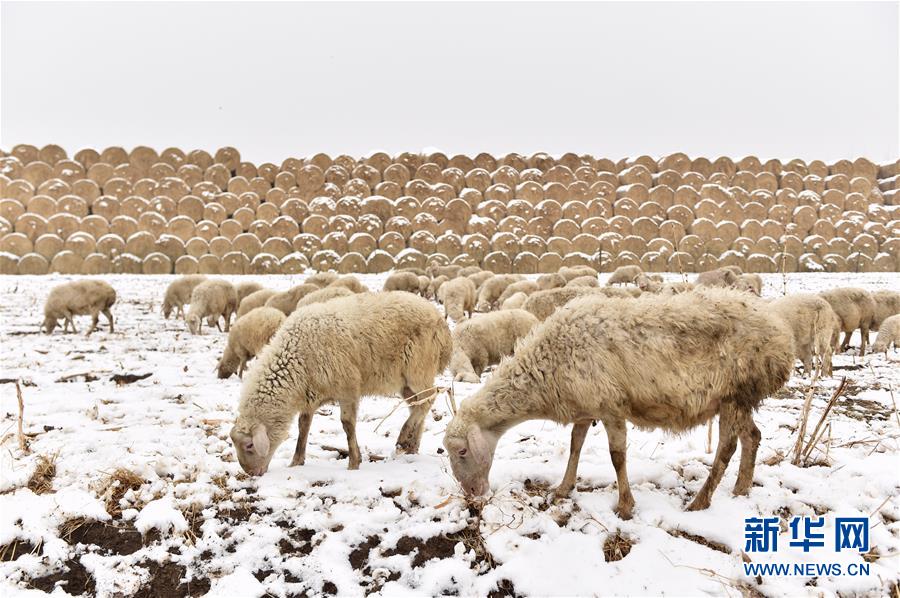 （鏡觀中國(guó)&middot;新華網(wǎng)）（11）新華社國(guó)內(nèi)照片一周精選