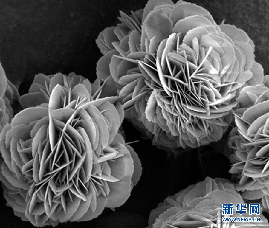 (新時(shí)代奮斗者·圖文互動(dòng))(3)“美麗發(fā)現(xiàn)”之路——記青年化學(xué)家戈鈞