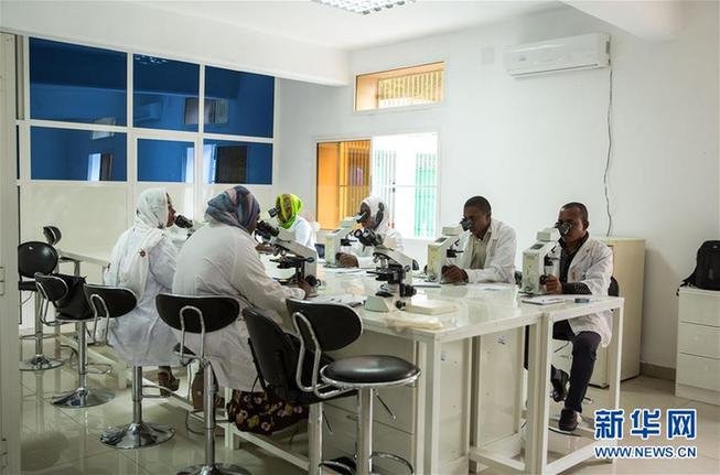 （新華全媒頭條&middot;世界防治瘧疾日&middot;圖文互動）（2）&ldquo;月亮之國&rdquo;的驅(qū)魔人&mdash;&mdash;記非洲抗瘧戰(zhàn)場上的廣東團(tuán)隊