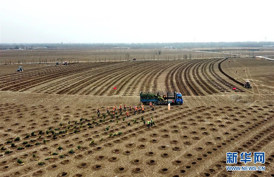 (新華全媒頭條·圖文互動)(6)奮進(jìn)新時代 建設(shè)雄安城——以習(xí)近平同志為核心的黨中央謀劃指導(dǎo)《河北雄安新區(qū)規(guī)劃綱要》編制紀(jì)實(shí)