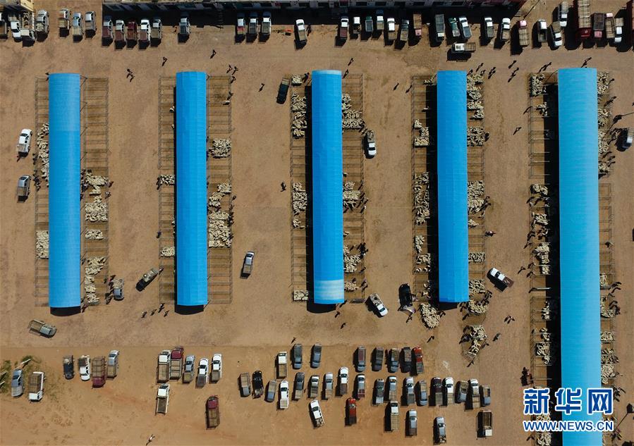 (經(jīng)濟(jì))(1)羊群交易市場(chǎng)忙