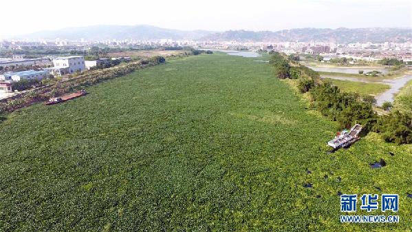 （圖文互動(dòng)）（1）&ldquo;白練&rdquo;變&ldquo;黑龍&rdquo;，江河變&ldquo;草原&rdquo;－－粵東母親河為何污染20多年難治理？
