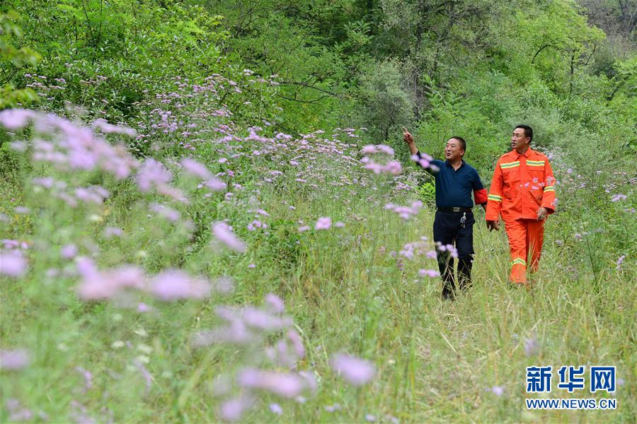 （壯闊東方潮 奮進新時代&mdash;&mdash;慶祝改革開放40年）（3）退耕還林20年 延安大地譜新篇