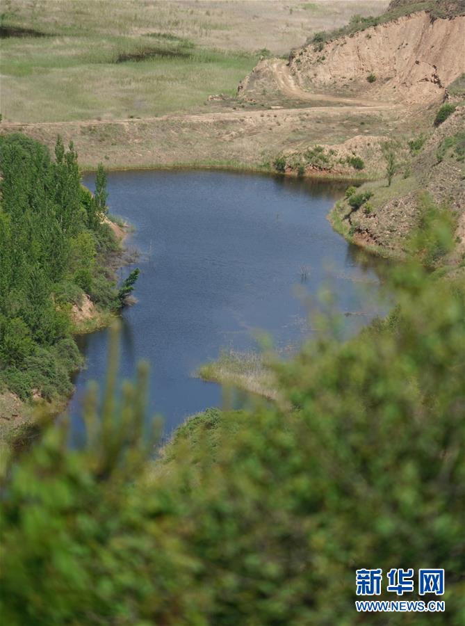 （壯闊東方潮 奮進(jìn)新時代&mdash;&mdash;慶祝改革開放40年）（6）退耕還林20年 延安大地譜新篇