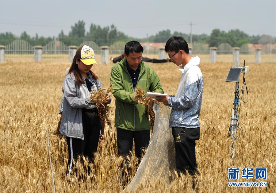 （經(jīng)濟(jì)）（5）把脈&ldquo;渤海糧倉(cāng)&rdquo;促增產(chǎn)