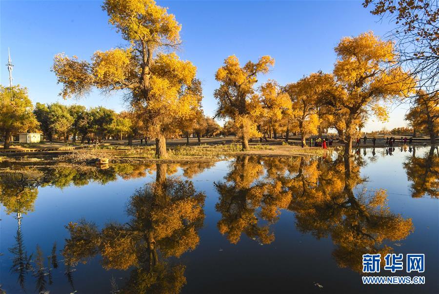（壯闊東方潮 奮進(jìn)新時(shí)代&mdash;&mdash;慶祝改革開放40年）（14）美麗中華大地書寫綠色傳奇
