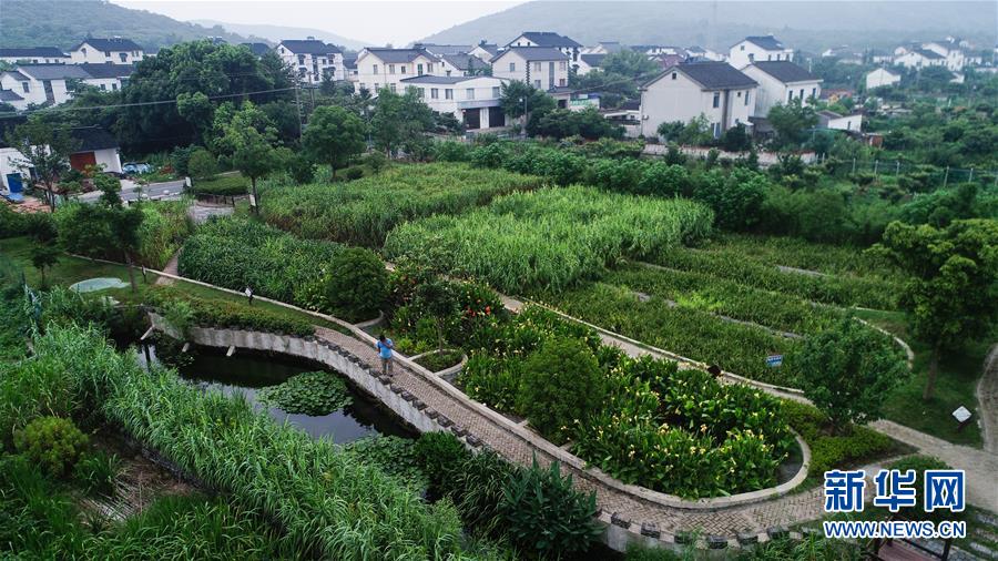 （在習(xí)近平新時(shí)代中國特色社會(huì)主義思想指引下&mdash;&mdash;新時(shí)代新作為新篇章&middot;圖文互動(dòng)）（1）稀奇！治污濕地成了休閑公園&mdash;&mdash;江蘇蘇州全域推進(jìn)農(nóng)村生活污水治理